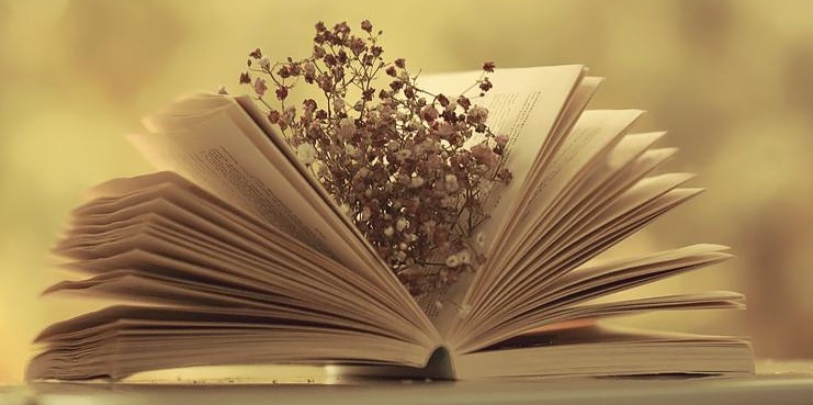 Cảm thụ văn học