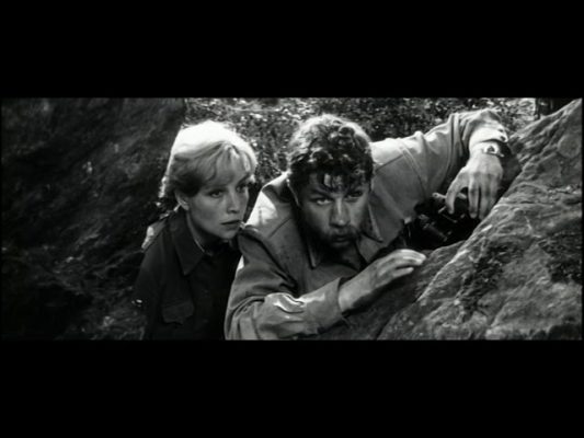 and the dawns here are quiet