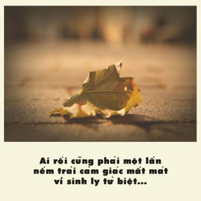 sinh ly tử biệt