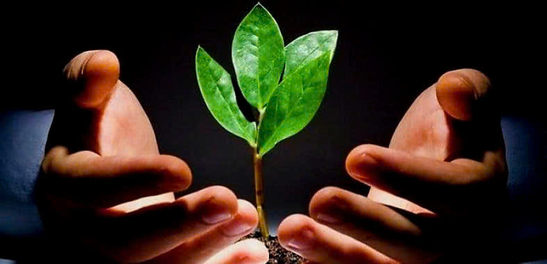 phim về nghề giáo